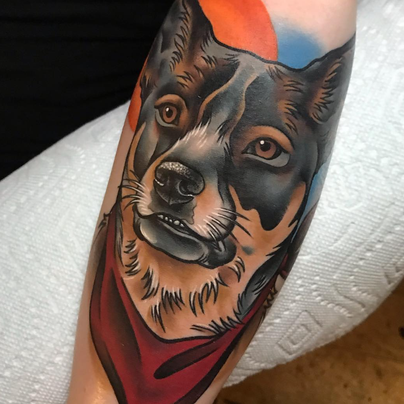 Neo traditional blue heeler tattoo with bandana